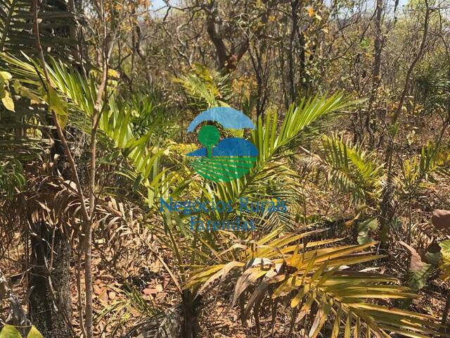 #234 - Fazenda para Venda em Palmeirópolis - TO - 1