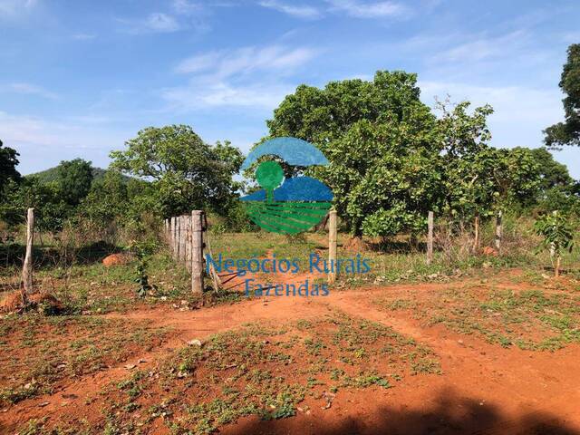 #235 - Fazenda para Venda em Porangatu - GO - 2