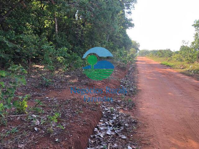 Fazenda para Venda em Porangatu - 5