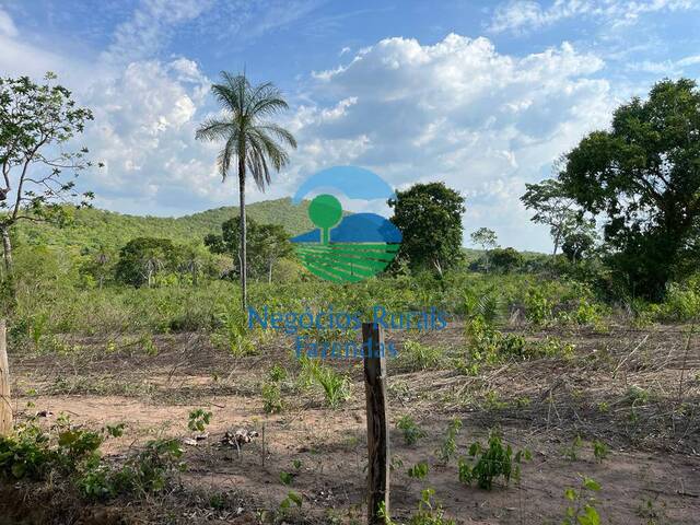 Venda em zona rural - Jaú do Tocantins