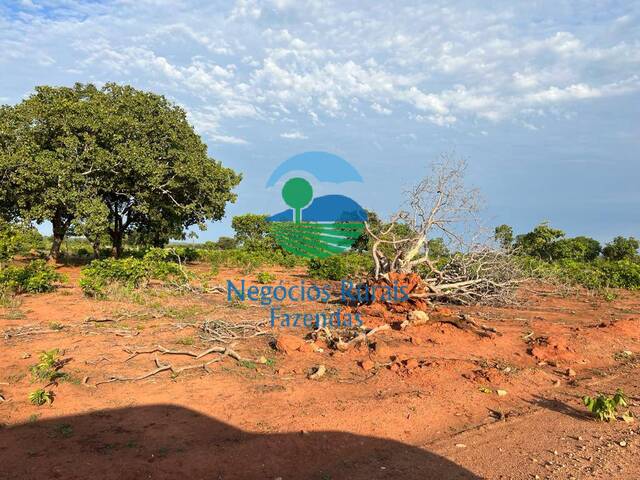 Venda em Zona rural - São Valério da Natividade