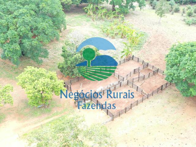 #239 - Fazenda para Venda em São Valério da Natividade - TO