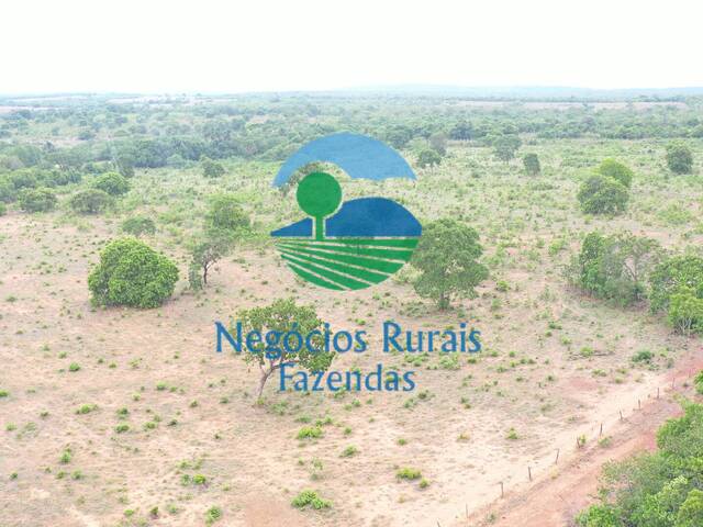 Fazenda para Venda em São Valério da Natividade - 2