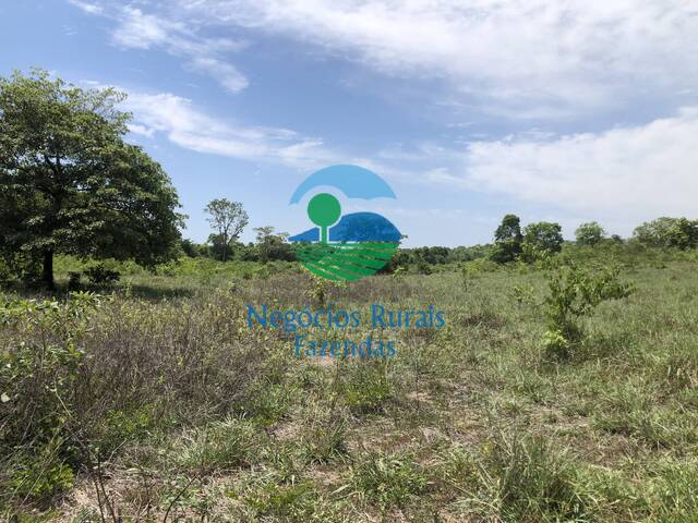 Fazenda para Venda em Palmeirópolis - 4