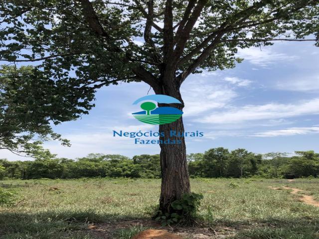 Venda em Zona rural - Palmeirópolis