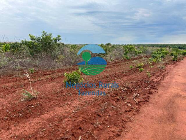 #241 - Fazenda para Venda em Jaú do Tocantins - TO - 1