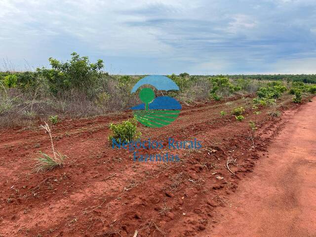 Venda em zona rural - Jaú do Tocantins