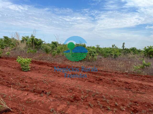 #241 - Fazenda para Venda em Jaú do Tocantins - TO - 3