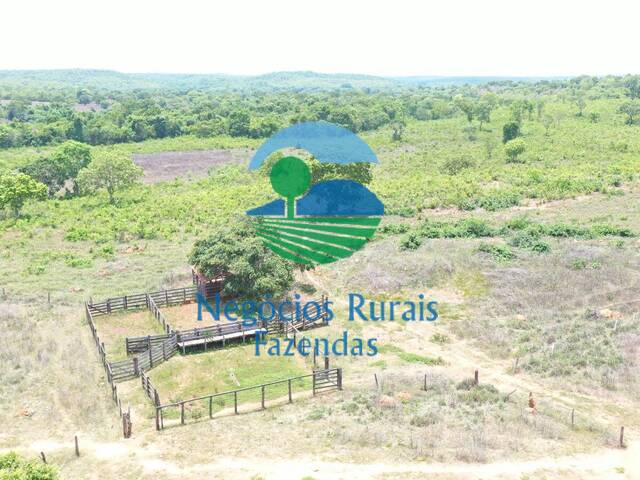 #240 - Fazenda para Venda em Palmeirópolis - TO - 3