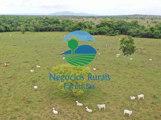 Venda em Zona rural - Palmeirópolis