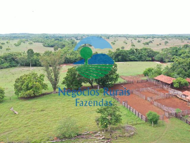 #245 - Fazenda para Venda em Palmeirópolis - TO - 2