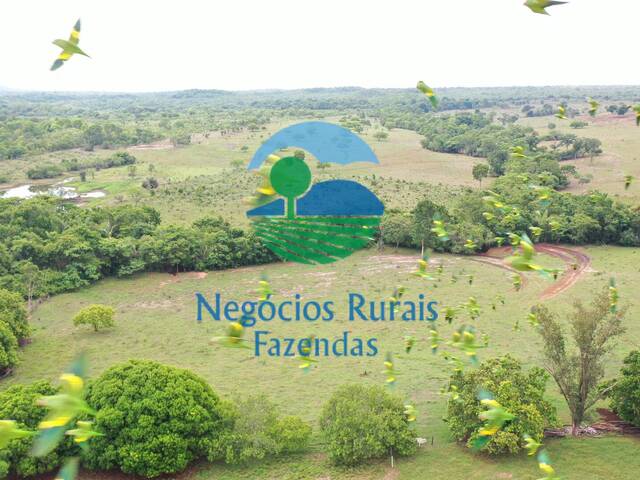 #245 - Fazenda para Venda em Palmeirópolis - TO - 3