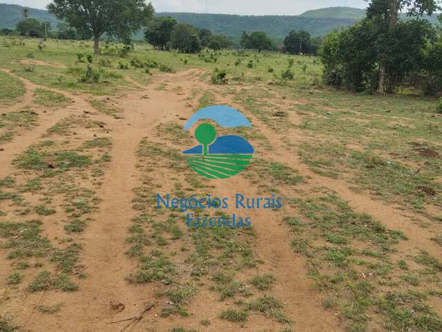 #247 - Fazenda para Venda em Paraíso do Tocantins - TO - 1