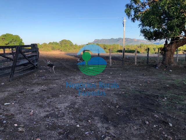 Venda em Zona rural - Paranã