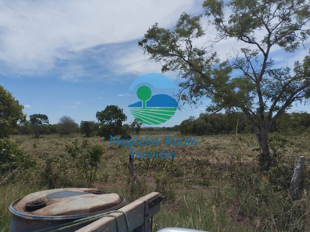 Fazenda para Venda em Peixe - 4