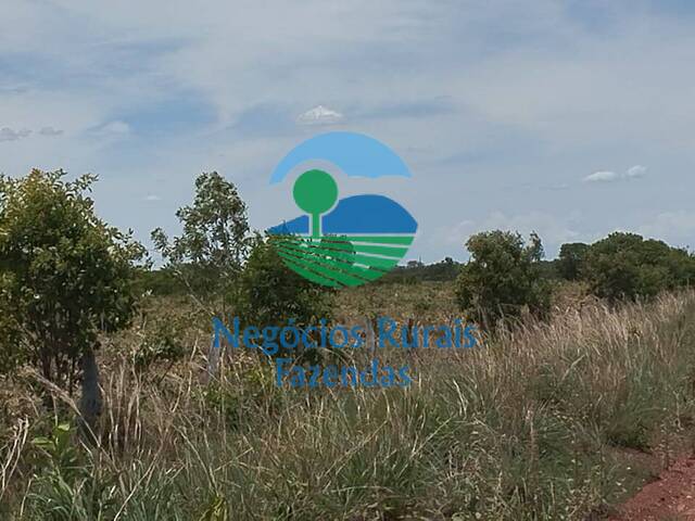 Venda em ZONA RURAL - Peixe