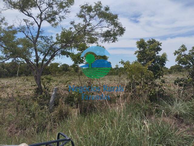 Venda em ZONA RURAL - Peixe