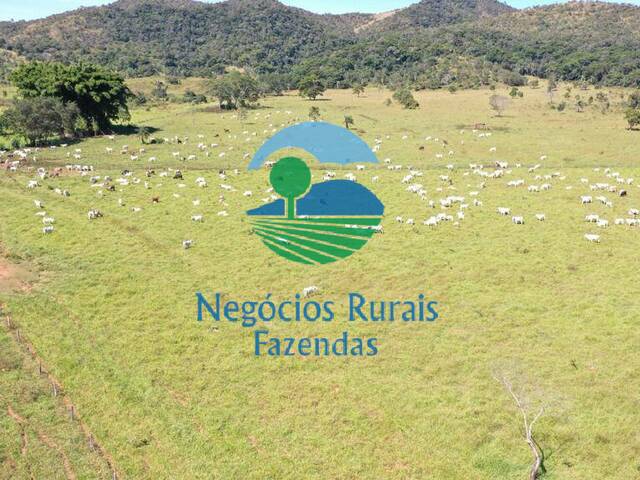 #251 - Fazenda para Venda em Campinaçu - GO - 3