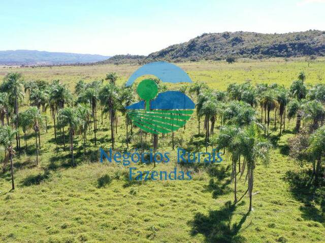 Venda em zona rural - Campinaçu