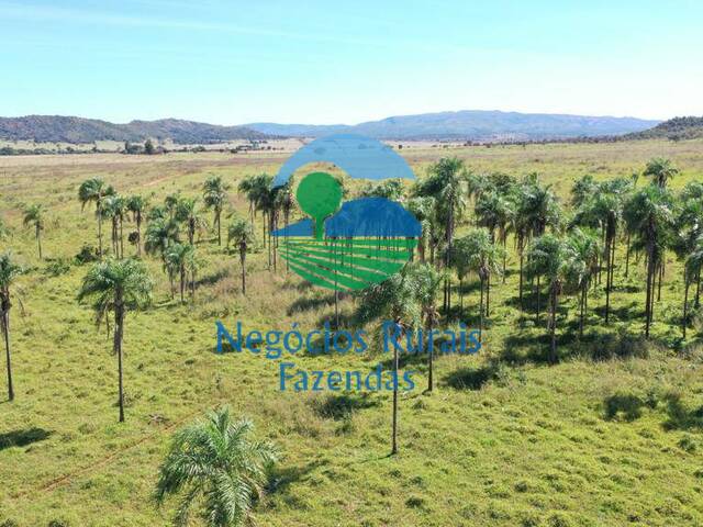 #251 - Fazenda para Venda em Campinaçu - GO - 1