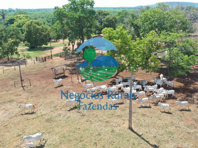 #237 - Fazenda para Venda em Palmeirópolis - TO