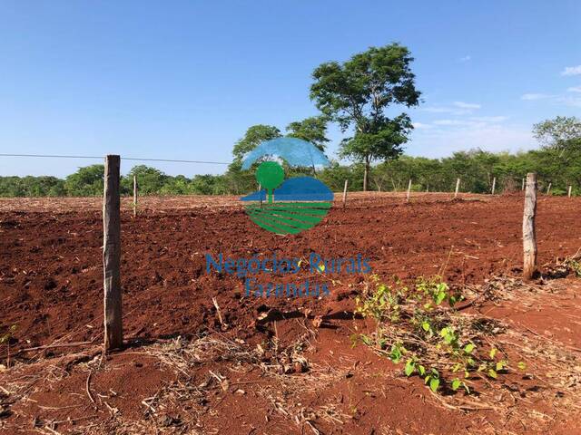 #237 - Fazenda para Venda em Palmeirópolis - TO