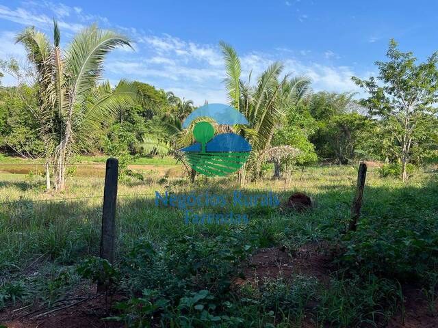 Fazenda para Venda em Palmeirópolis - 4