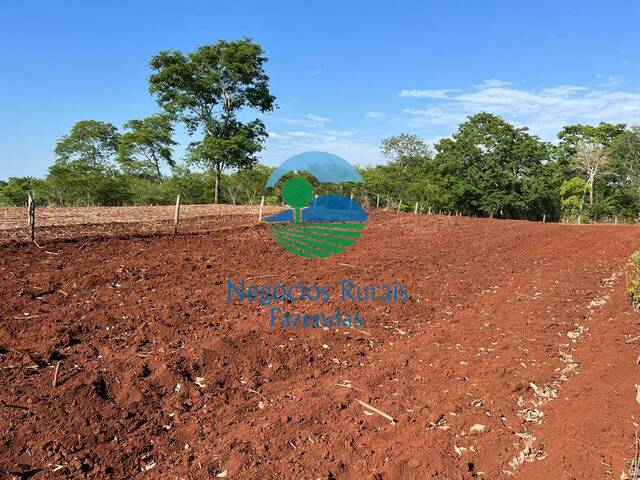 #237 - Fazenda para Venda em Palmeirópolis - TO
