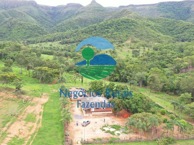 Fazenda para Venda em São João d`Aliança - 3