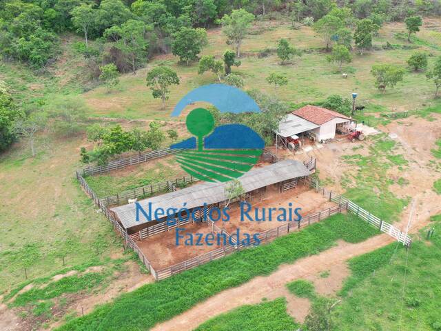 Fazenda para Venda em São João d`Aliança - 5
