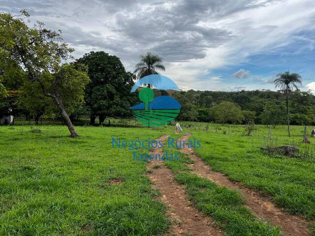 Fazenda para Venda em São João d`Aliança - 2