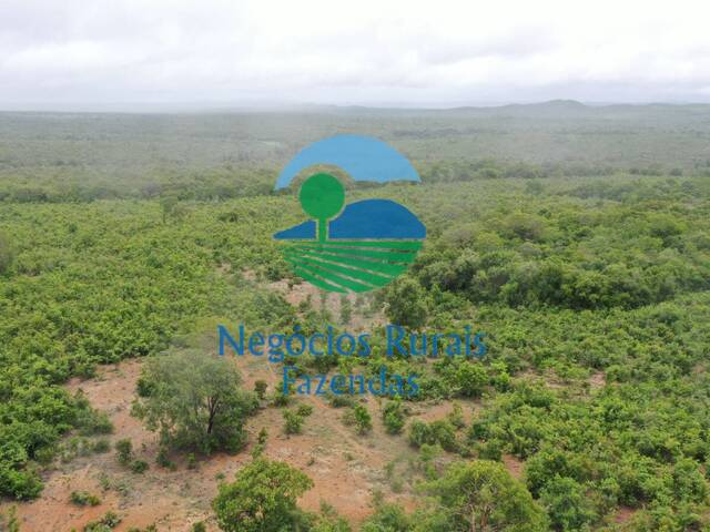 #254 - Fazenda para Venda em Peixe - TO - 2
