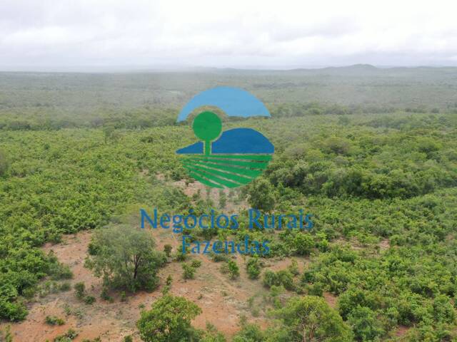 Venda em ZONA RURAL - Peixe