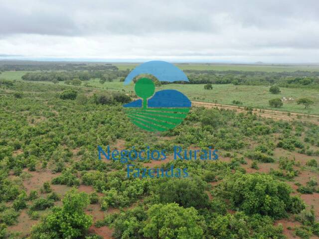 #254 - Fazenda para Venda em Peixe - TO - 3
