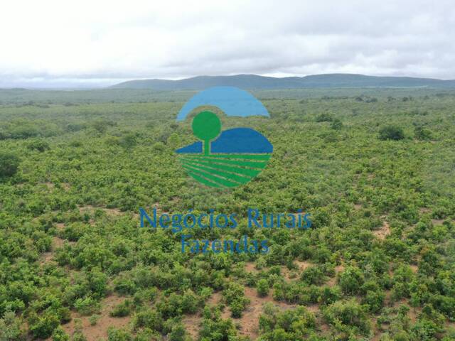 Fazenda para Venda em Peixe - 5