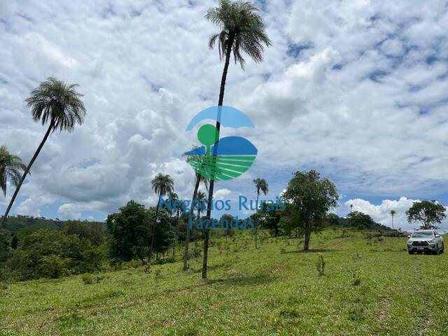 #256 - Fazenda para Venda em Padre Bernardo - GO - 1