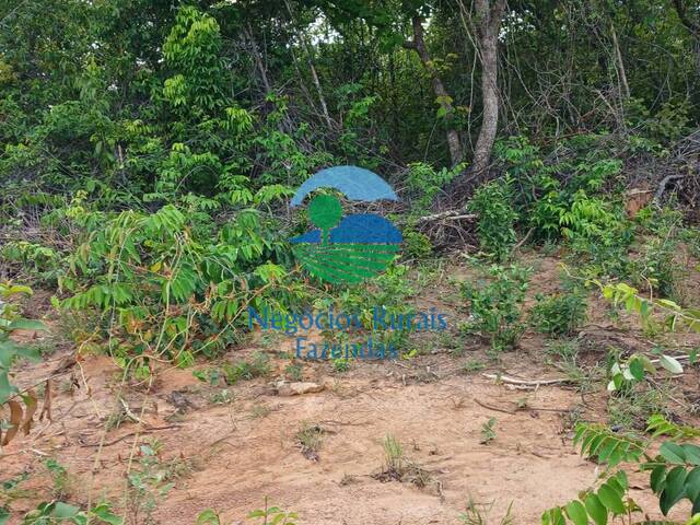 #257 - Fazenda para Venda em Minaçu - GO - 3