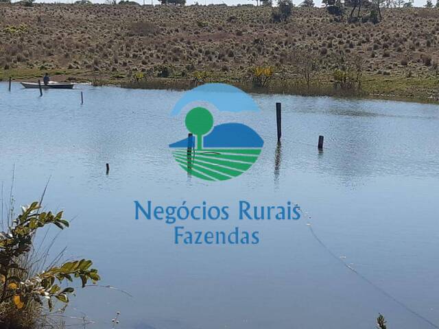 #260 - Fazenda para Venda em Crixás - GO - 3