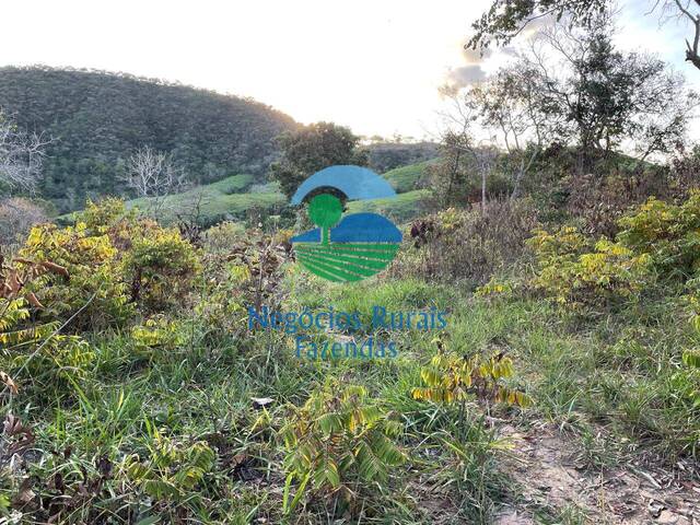 Fazenda para Venda em Campinaçu - 5