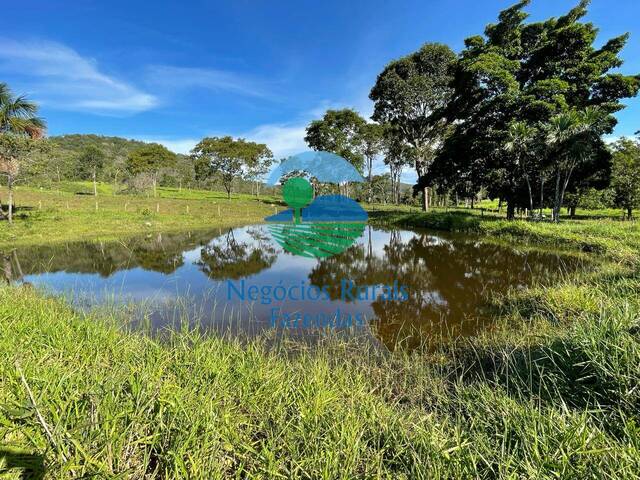 #266 - Fazenda para Venda em Campinaçu - GO - 1