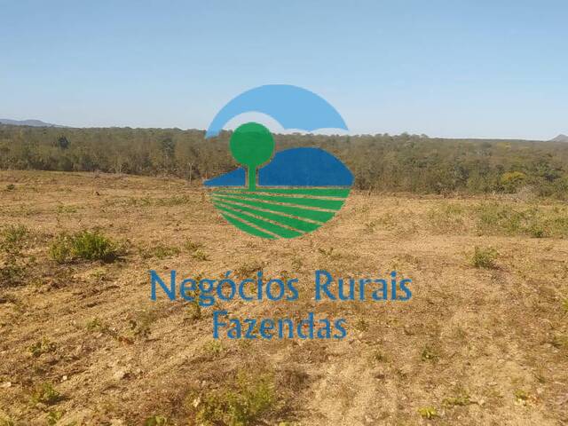 #269 - Fazenda para Venda em Uruaçu - GO - 3
