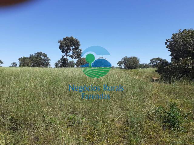 Fazenda para Venda em Montividiu do Norte - 2