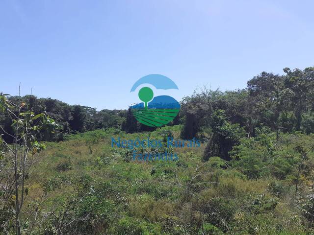 #276 - Fazenda para Venda em Montividiu do Norte - GO