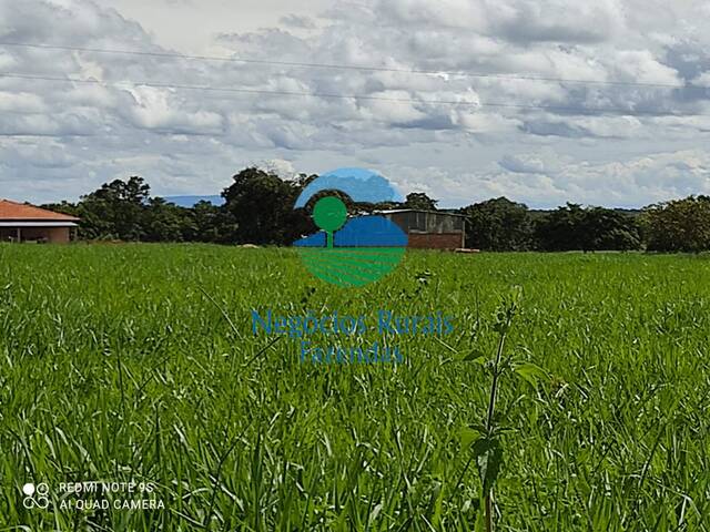 Venda em Zona rural - Montividiu do Norte