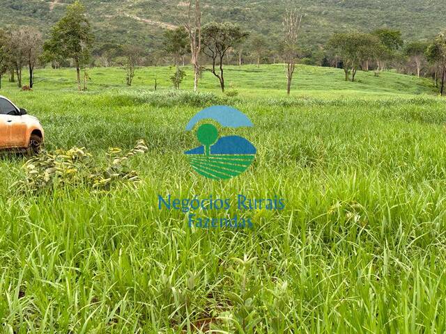 Venda em Zona rural - Pirenópolis