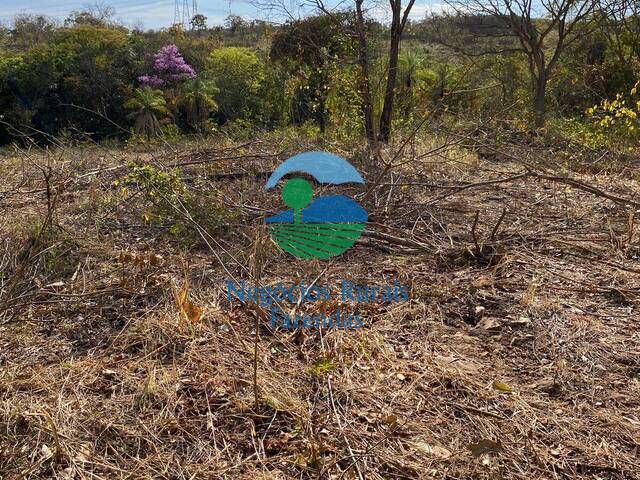 Fazenda para Venda em Niquelândia - 3