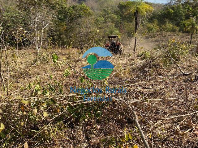 Fazenda para Venda em Niquelândia - 4