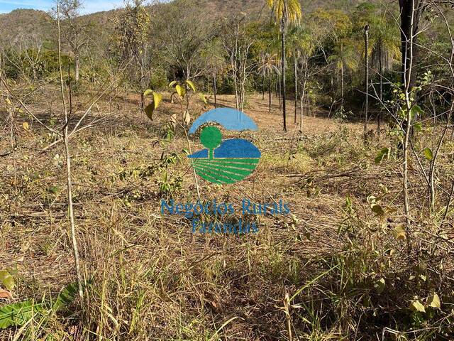 Fazenda para Venda em Niquelândia - 5