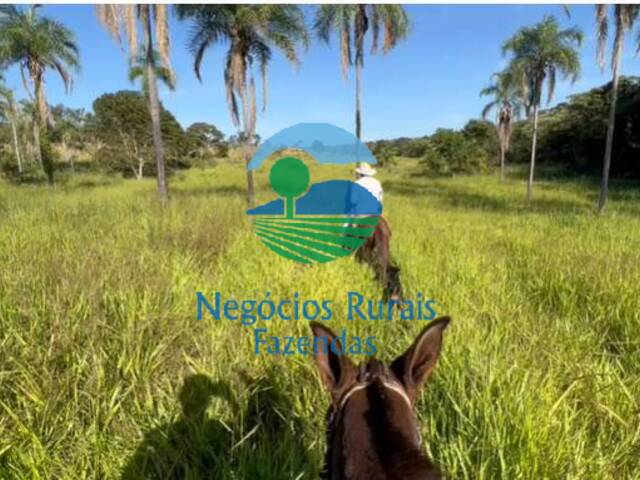 Fazenda para Venda em Palmeirópolis - 2