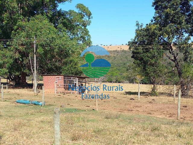 #287 - Fazenda para Venda em Anápolis - GO - 2